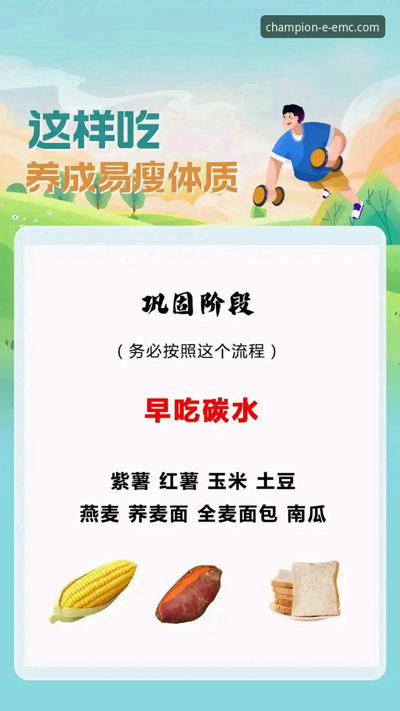 易倍体育平台官方访问路径与技术体验深度解析